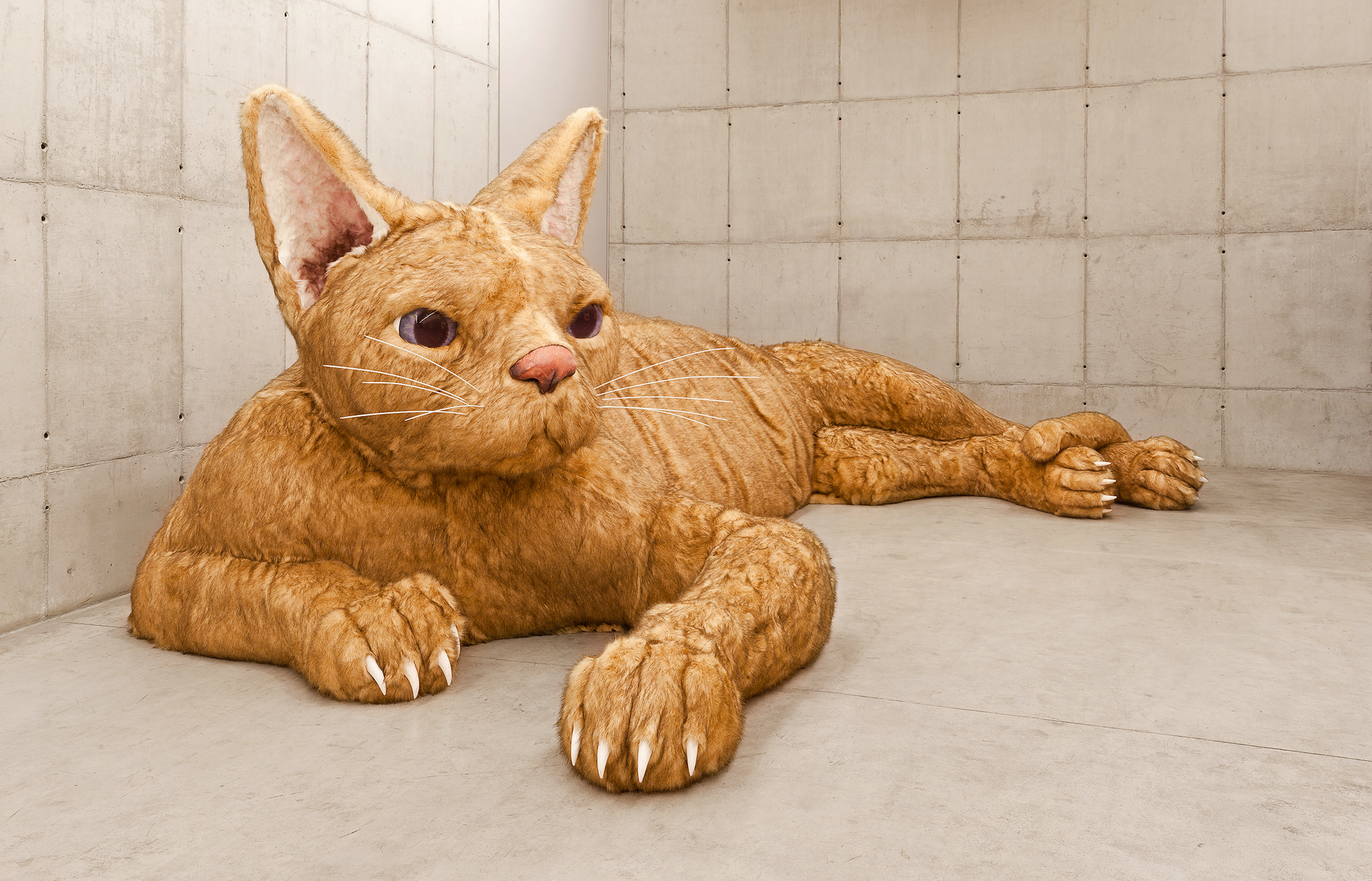 Um amor sem igual - Por Nina Pandolfo